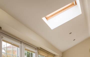 Ranochan conservatory roof insulation companies