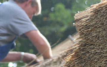 professional Ranochan thatchers