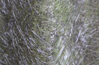 Ranochan fibreglass roof work